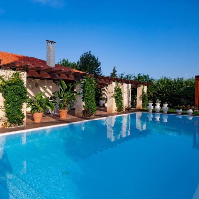 Spaziosa Villa Con Piscina E Giardino, 폴리나노 아마레 외부 사진